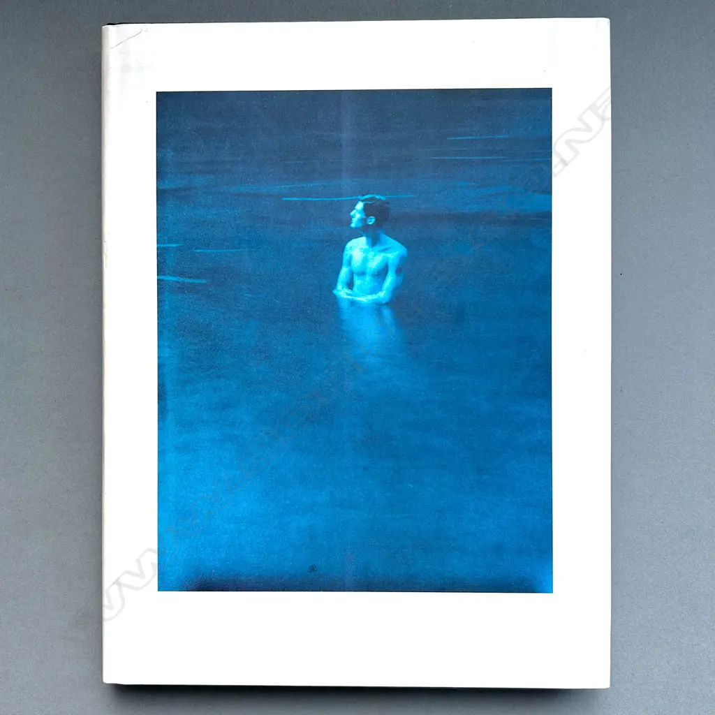 JOHN DUGDALE: LENGTHENING SHADOWS BEFORE NIGHTFALL Image 1++